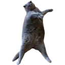 ਸਟਿਕਰ
