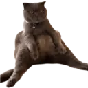 ਸਟਿਕਰ