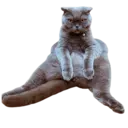 ਸਟਿਕਰ