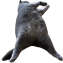 ਸਟਿਕਰ
