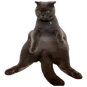 ਸਟਿਕਰ