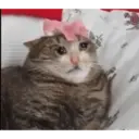 స్టికర్