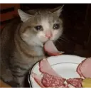 స్టికర్