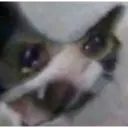 స్టికర్