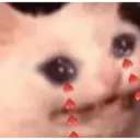 స్టికర్