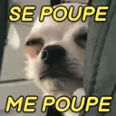 贴纸