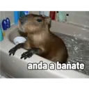 Çıkartma