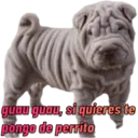 Ngjitës