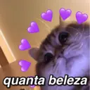 Figurinha