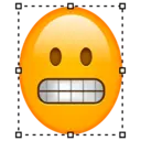 贴纸