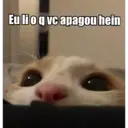 Nhãn dán