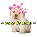 Figurinha