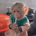 ਸਟਿਕਰ