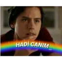 Nhãn dán