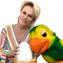 Figurinha