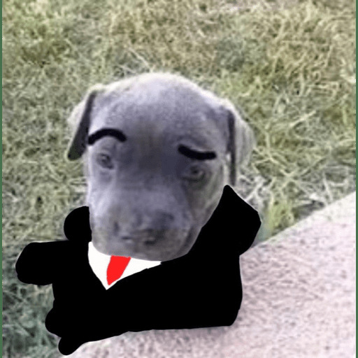 Perritos Graciosos Stickers para WhatsApp