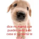 Stika