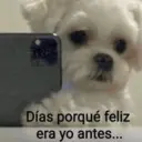 Nhãn dán