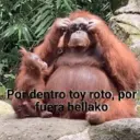 Figurinha