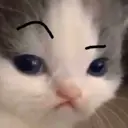 Stika