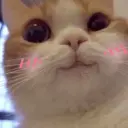 Stika