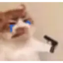 Stika