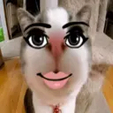Stika