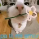 Stika