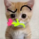 Stika