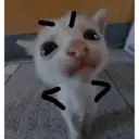 Stika