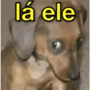 ملصق