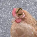 ملصق