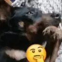 Naljepnica