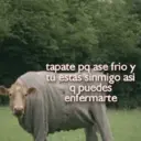اسٹیکر