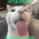 מדבקה