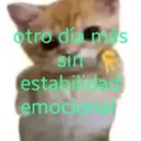 מדבקה