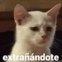 מדבקה