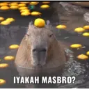 Límmiði