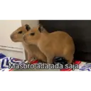 Límmiði