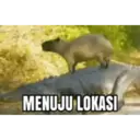 Límmiði
