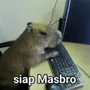 Límmiði
