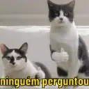 Figurinha