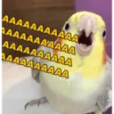 ملصق