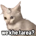 اسٹیکر