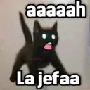 اسٹیکر