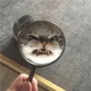 اسٹیکر