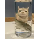 Límmiði