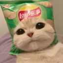 Límmiði
