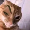 สติกเกอร์