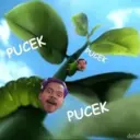 స్టికర్